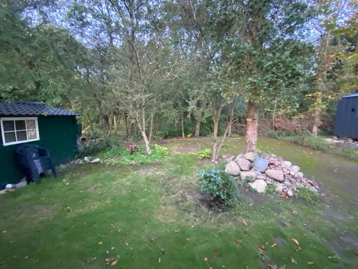 Chalet With Access To The Woods - No 147 Anloo Exterior foto